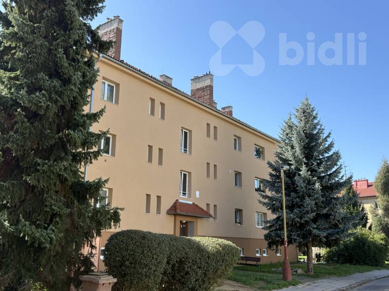 Prodej, byt 2+1, 63 m2, sklepy, Prokopa Holého, Uherské Hradiště