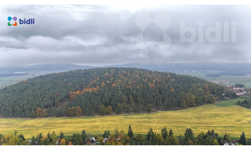 Prodej stavebního pozemku 801 m2, Chlum u Křemže