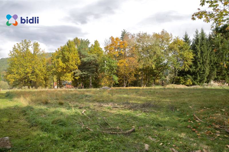 Prodej stavebního pozemku 801 m2, Chlum u Křemže