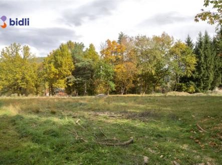 Prodej pozemku pro bydlení, 801 m²