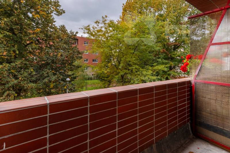 Pronájem bytu 3+1 90 m&#178; Labská kotlina Hradec Králové