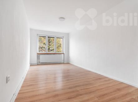 Pronájem bytu, 2+1, 50 m²