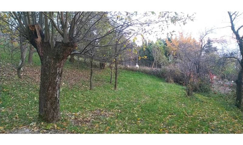 Prodej zahrady 3 492 m2 - Přílepy u Holešova-Vinohrádky