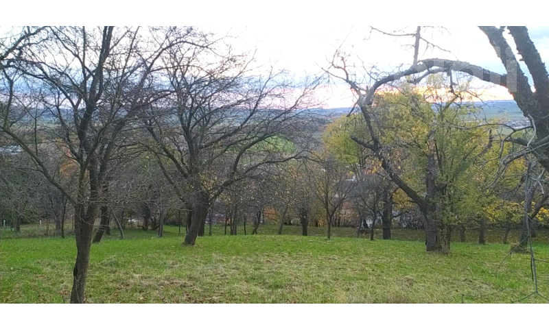 Prodej zahrady 3 492 m2 - Přílepy u Holešova-Vinohrádky