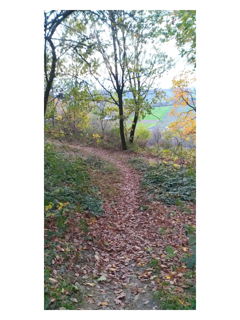 Prodej zahrady 3 492 m2 - Přílepy u Holešova-Vinohrádky