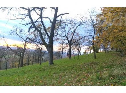 Prodej pozemku, zahrada, 3 492 m²