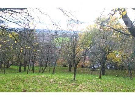 Prodej pozemku, zahrada, 3 492 m²