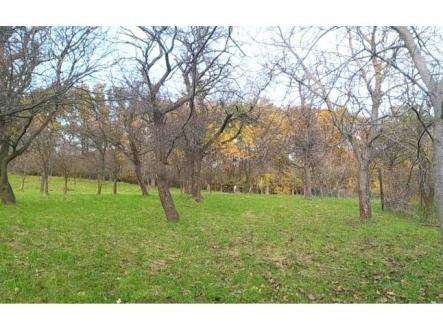 Prodej pozemku, zahrada, 3 492 m² obrázek