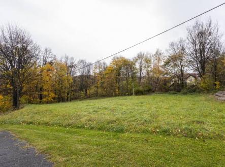 Prodej pozemku pro bydlení, 2 288 m²