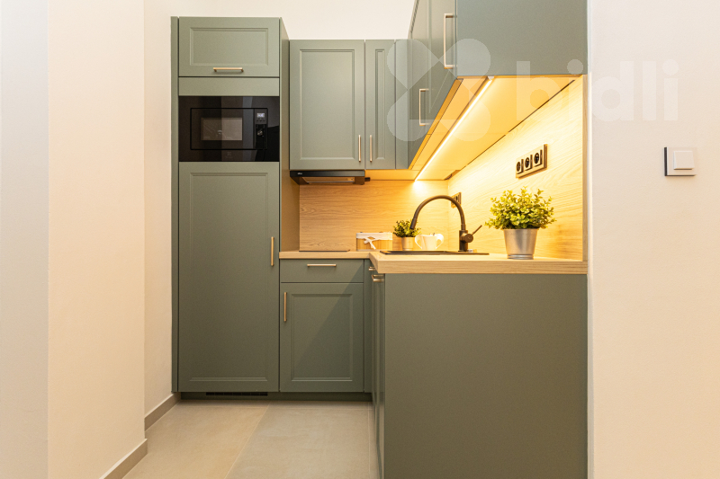 Prodej bytu 1+1, 46 m2 - Praha 7, Letná, ul. Dobrovského