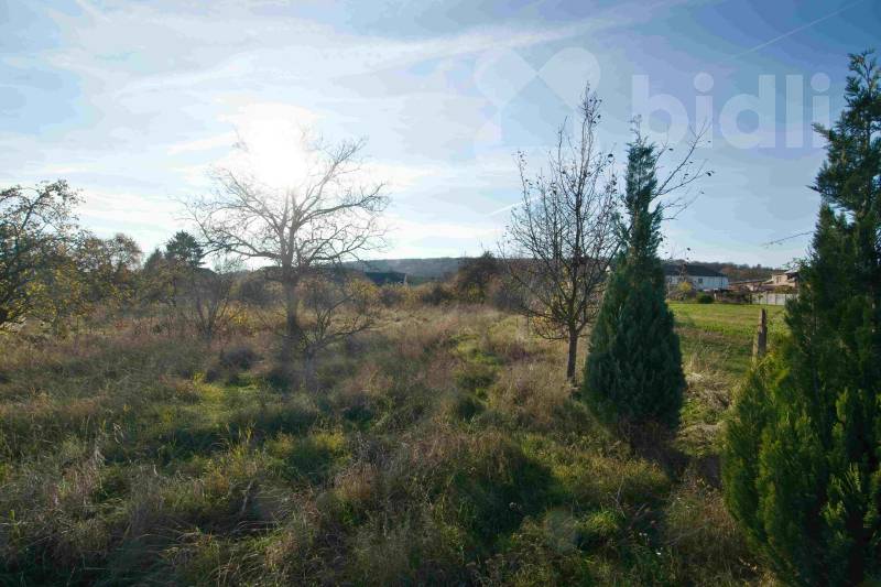 Prodej pozemku 3459 m2 v obci Třebovle, okres Kolín