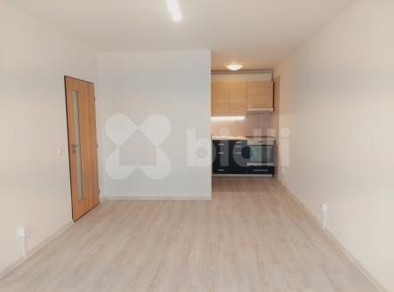 Pronájem bytu, 2+kk, 52 m²