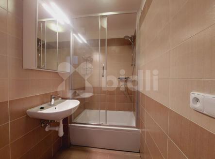 Pronájem bytu, 2+kk, 52 m²