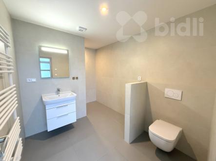 Pronájem bytu, 2+kk, 52 m²