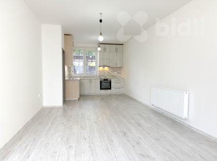 Pronájem bytu, 2+kk, 52 m²