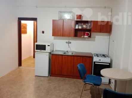 Pronájem bytu, 1+kk, 25 m²