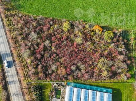 Prodej pozemku pro komerční výstavbu, 7 169 m²