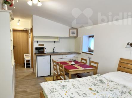 Pronájem bytu, garsoniéra, 25 m²