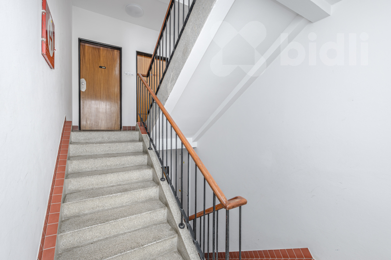 Fotku se nepodařilo načíst.