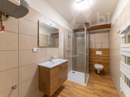 Pronájem bytu, 1+1, 48 m²