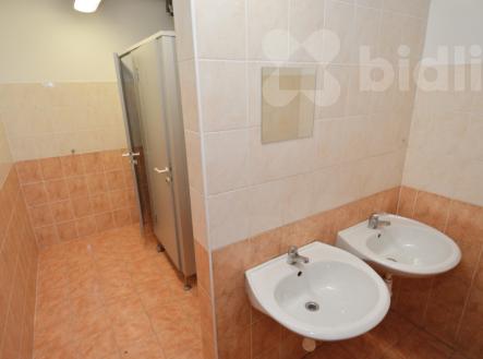 Pronájem obchodní prostor, 92 m²