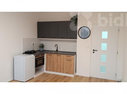 Pronájem bytu, 1+kk, 26 m²