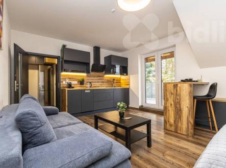 Prodej bytu, 1+kk, 68 m²