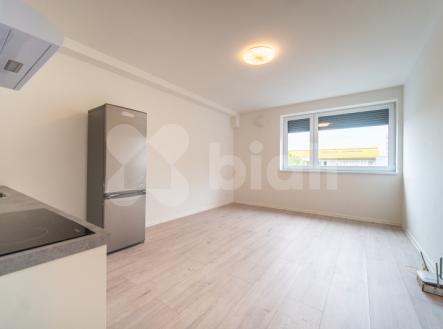 Pronájem bytu, 2+kk, 47 m²