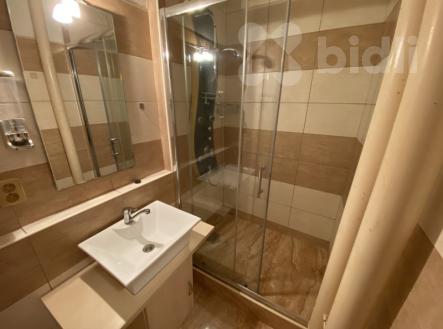 Pronájem bytu, 2+1, 52 m²