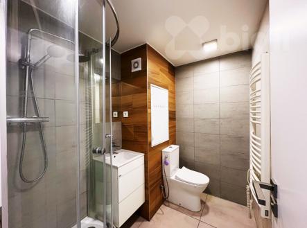 Pronájem bytu, 1+1, 34 m²