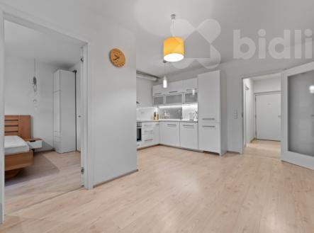 Pronájem bytu, 2+kk, 61 m²