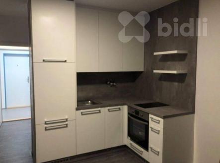 Pronájem bytu, 1+kk, 25 m²