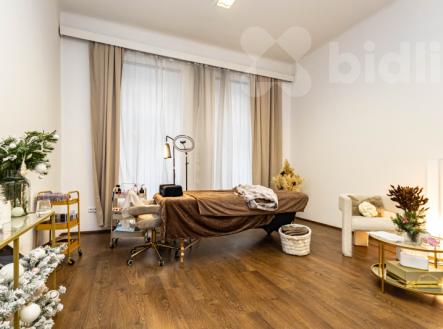 Prodej nájemního domu, 576 m²