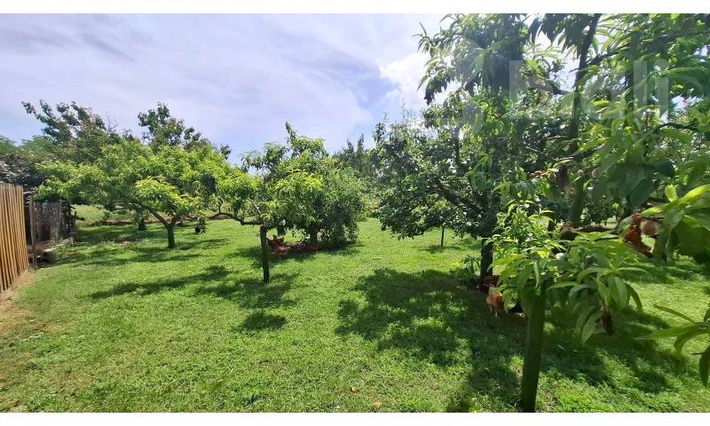 Výjimečný pravidelný rovný stavební pozemek - Čejkovice, okres Znojmo