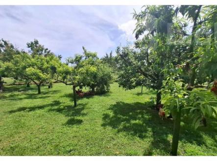 Prodej pozemku pro bydlení, 1 313 m²