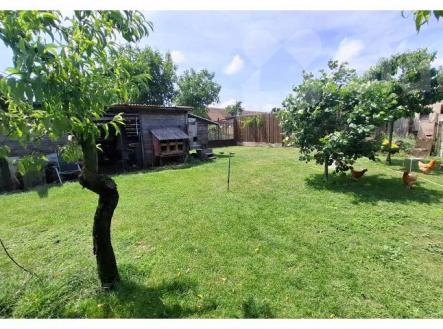 Prodej pozemku pro bydlení, 1 313 m²