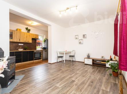 Prodej domu/vily, 102 m²