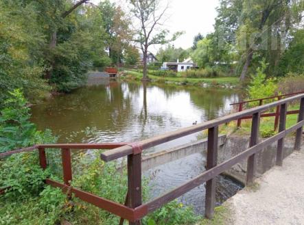 Pronájem domu/vily, 355 m²