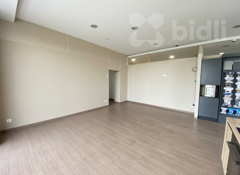 Pronájem obchodního prostoru 220m2, Holohlavy