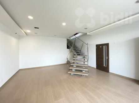 Pronájem obchodní prostor, 220 m²