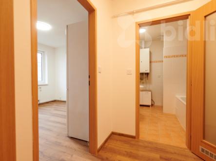 Prodej bytu, 1+1, 47 m²