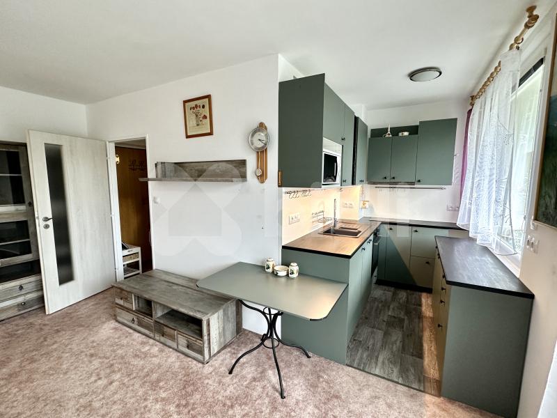 Pronájem, Byt 1+kk, 31m2, s lodžií, Pardubice, ulice Družby