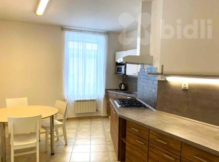 Pronájem bytu, 1+1, 55 m²