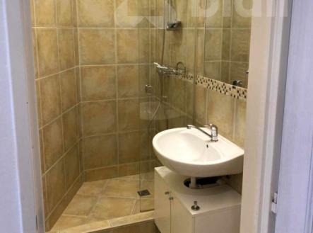 Pronájem bytu, 1+1, 55 m²