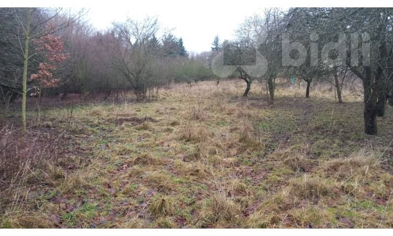 Prodej pozemku pro bydlení a investici v obci Dobrovítov