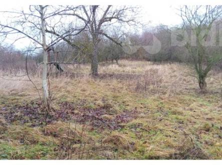 Prodej pozemku, zahrada, 5 207 m²