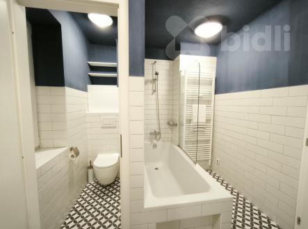 Pronájem bytu, 2+1, 66 m²