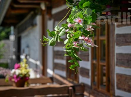 Prodej domu/vily, 50 m²