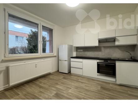 Pronájem bytu, 1+1, 51 m²