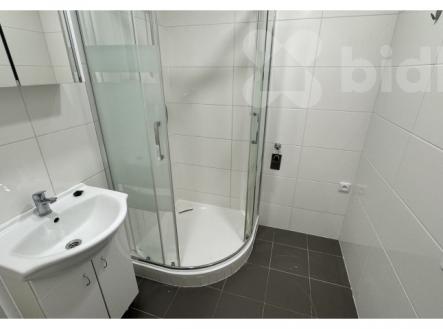 Pronájem bytu, 1+1, 51 m²